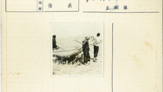 农民田野耕作农具工作.jpg