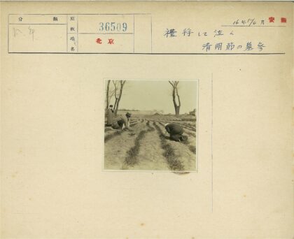 农民田野耕作晴空背景.jpg
