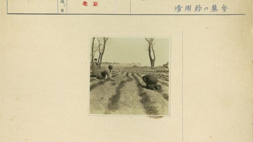 农民田野耕作晴空背景.jpg