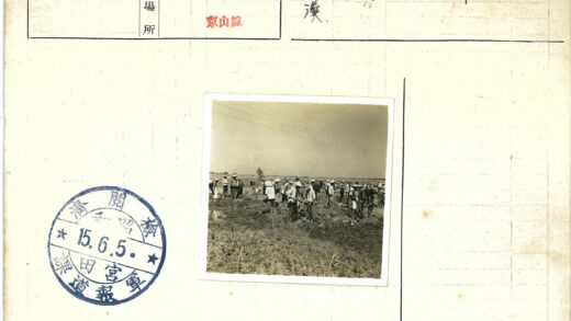 农民田间劳作场景.jpg