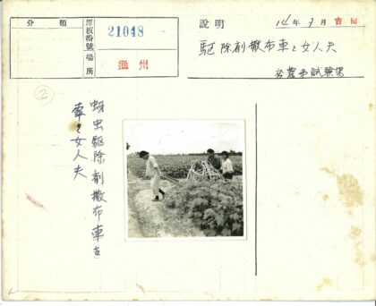 农民田间劳作场景.jpg
