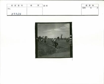 农民田间劳作多云背景.jpg