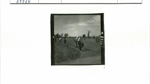 农民田间劳作多云背景.jpg