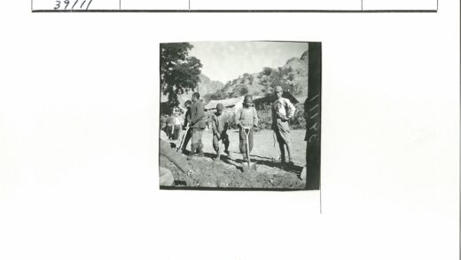 农民田间劳作风景.jpg