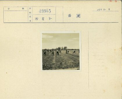 农民田间播种耕作场景.jpg