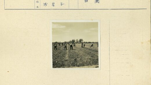 农民田间播种耕作场景.jpg