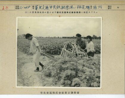 农民田间耕作场景.jpg