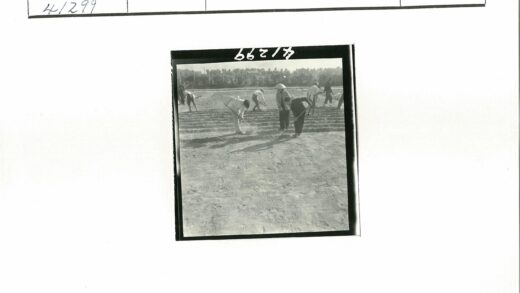 农民田间耕作整理土壤.jpg
