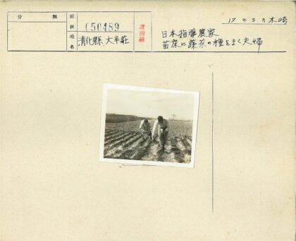 农民耕地劳作场景.jpg
