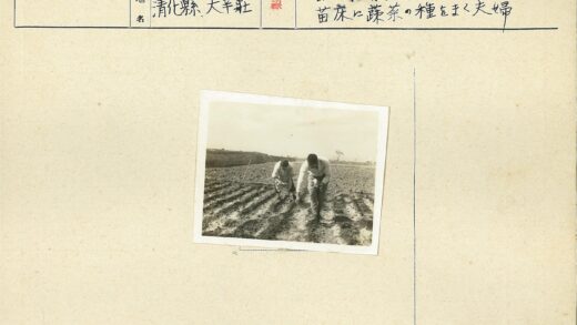 农民耕地劳作场景.jpg