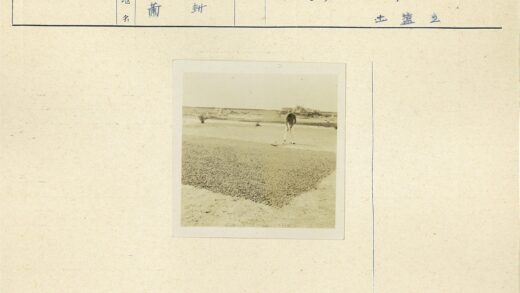 农民耙地劳作与荒芜背景.jpg