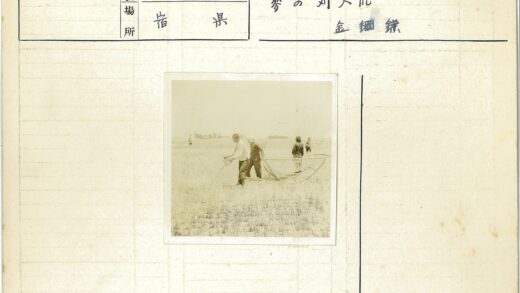 农民集体耕作草地场景.jpg