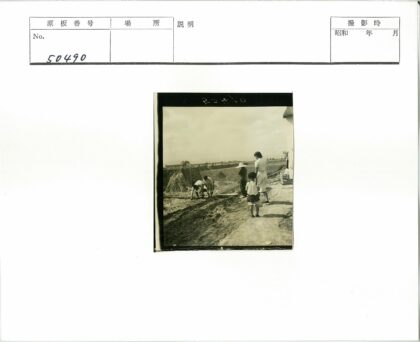 农田劳作与母子守望.jpg