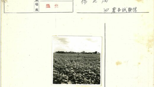 农田劳作与远树风光.jpg
