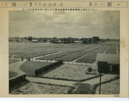 农田小路与蓝天白云景色.jpg