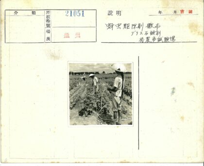 农田灌溉与火车穿行.jpg