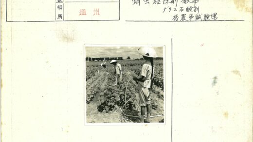 农田灌溉与火车穿行.jpg