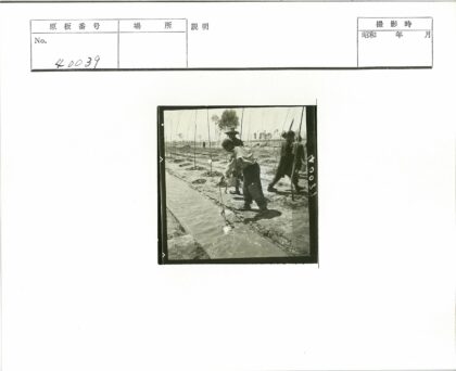 农田灌溉水渠劳作景象.jpg