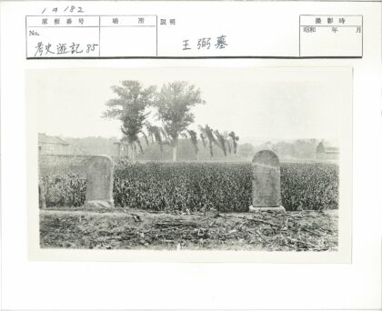 农田石碑与远树建筑景观.jpg