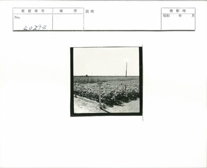 农田路标与远方地平线景色.jpg