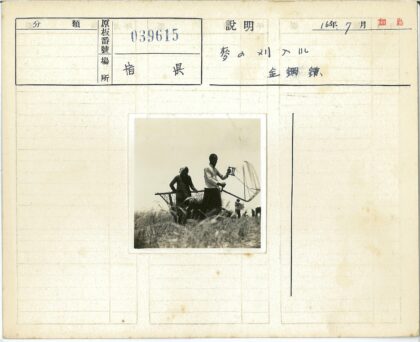 农田集体劳作网捕作业.jpg