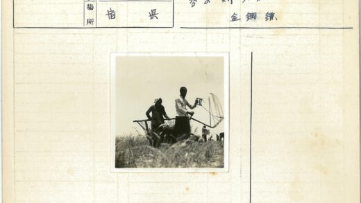 农田集体劳作网捕作业.jpg