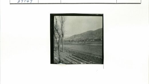 冬季农田劳作与远山景色.jpg