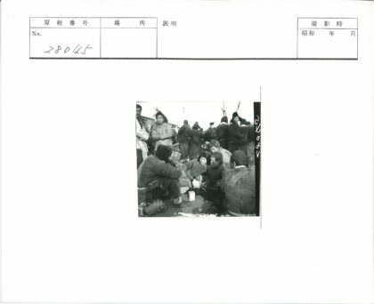 冬季户外聚会人群与枯树.jpg
