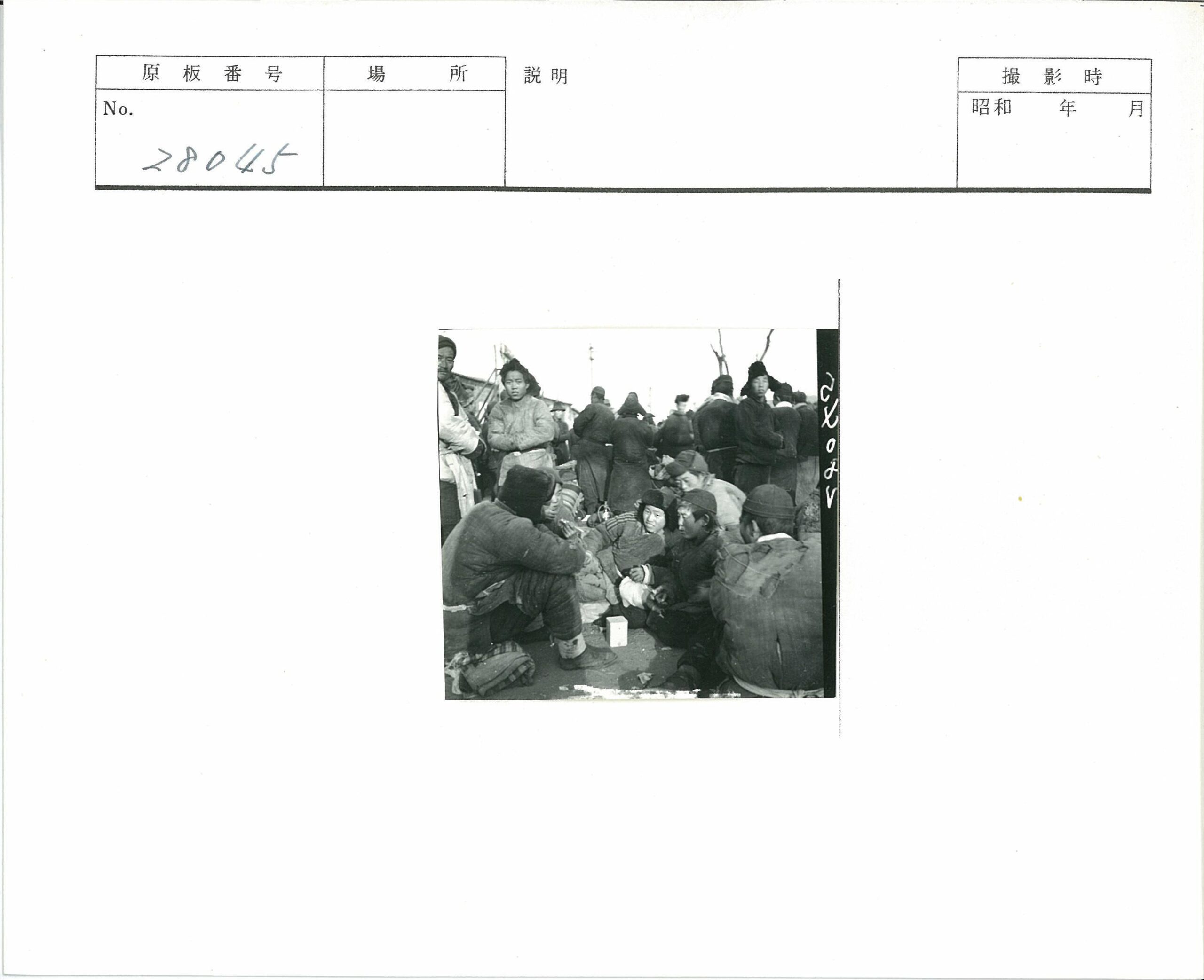 冬季户外聚会人群与枯树.jpg