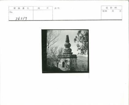 冬日丘陵间的华丽石筑景观.jpg