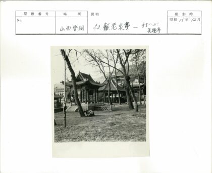 冬日东亚古建与枯树草地.jpg