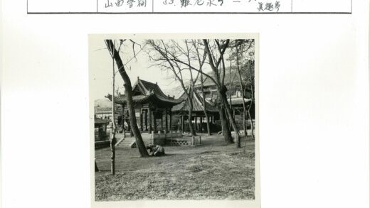 冬日东亚古建与枯树草地.jpg