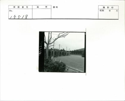 冬日乡间小路与远山景色.jpg