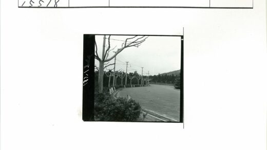 冬日乡间小路与远山景色.jpg