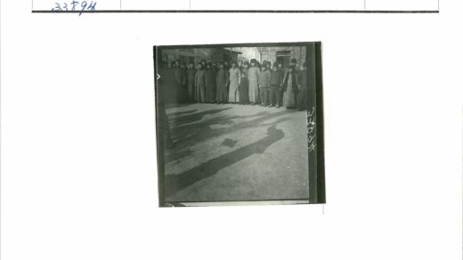 冬日人群与枯树阴影.jpg
