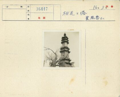 冬日古塔与枯枝景观.jpg
