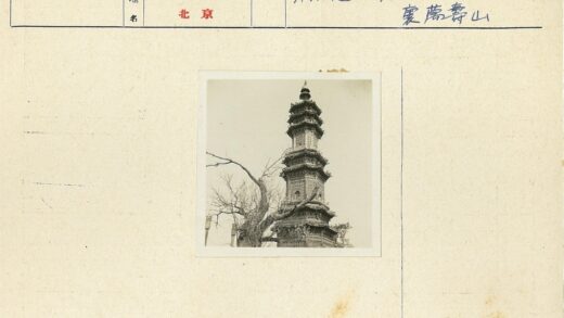 冬日古塔与枯枝景观.jpg