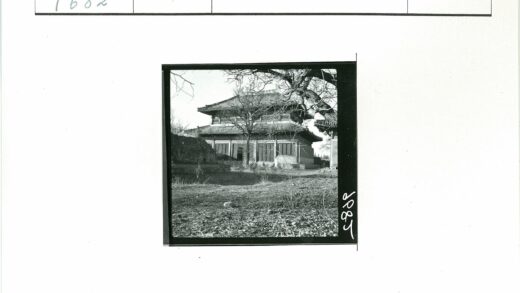 冬日古宅晴空枯树.jpg