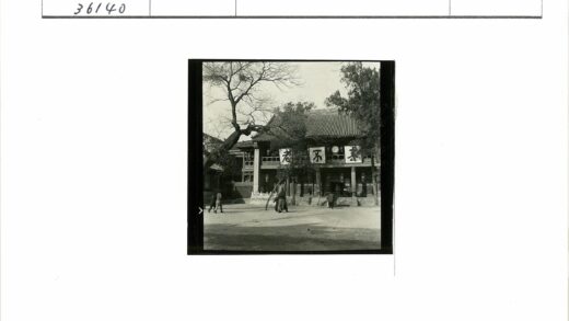 冬日古建与枯树.jpg