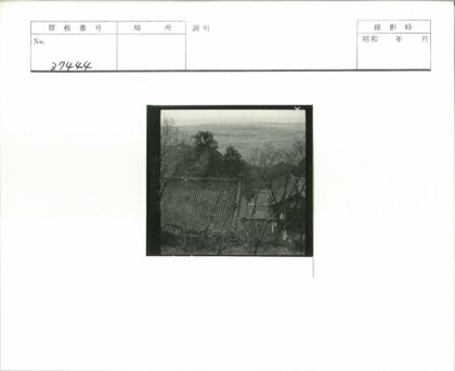 冬日古建屋顶与平原远眺.jpg