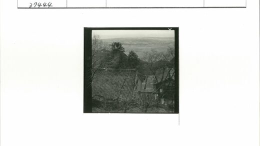 冬日古建屋顶与平原远眺.jpg