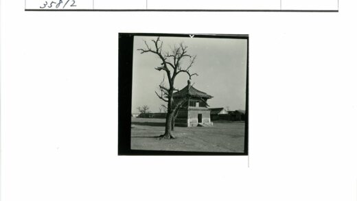 冬日古建筑与枯树景观.jpg