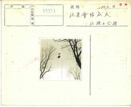 冬日圆符旗帜与枯枝.jpg