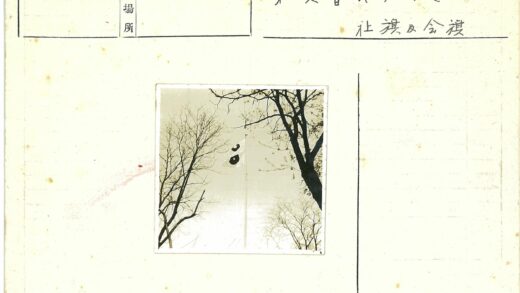 冬日圆符旗帜与枯枝.jpg