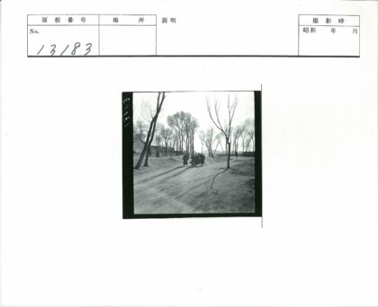 冬日土路与林间小屋.jpg