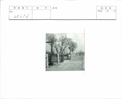 冬日小路与古灯柱.jpg