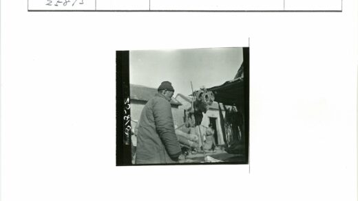 冬日干丝瓜络海绵展示.jpg