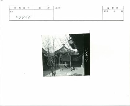 冬日庭院台阶静思.jpg
