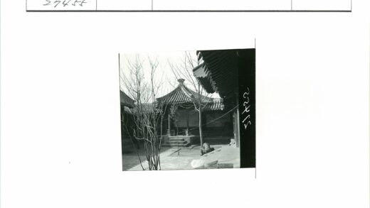 冬日庭院台阶静思.jpg