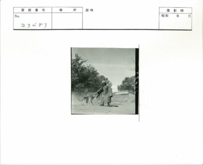 冬日庭院训狗场景.jpg